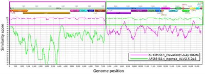 A recombinant porcine reproductive and respiratory syndrome virus type 2 field strain derived from two PRRSV-2-modified live virus vaccines